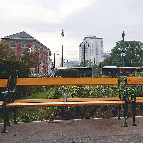 Foto: Milena Österreicher